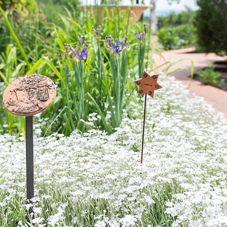 Bed & Breakfast Cardeto